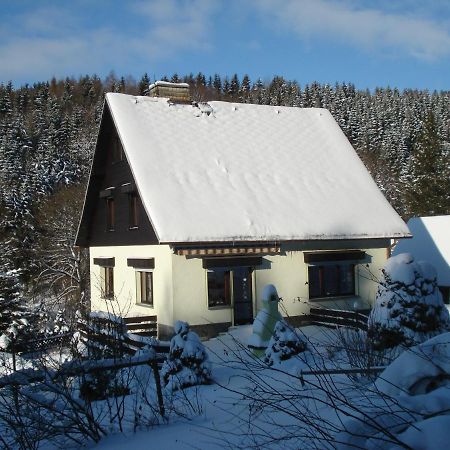 Erzgebirgsdomizil Am Schwartenberg Neuhausen  Esterno foto