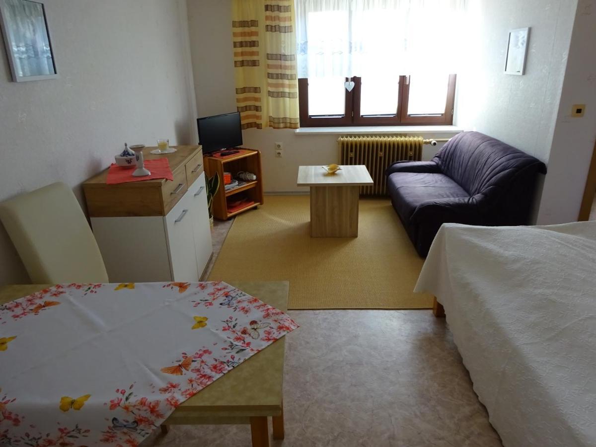Erzgebirgsdomizil Am Schwartenberg Neuhausen  Esterno foto